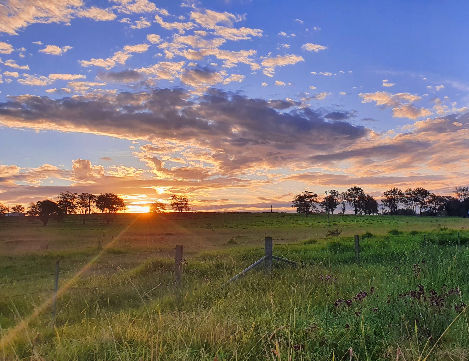 Boosting Cell Phone Signals in Rural Australia: The Power of Mobile Boosters